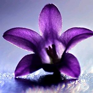 Meet your Posher, Fatma